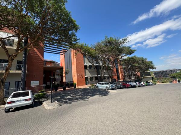 153 m² Commercial space