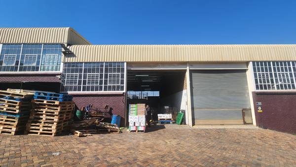 243  m² Industrial space