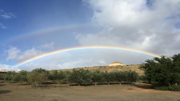 22 ha Commercial Farm