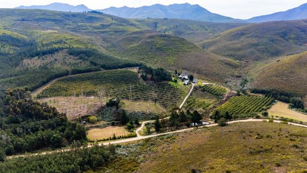 9.1 ha Farm with House