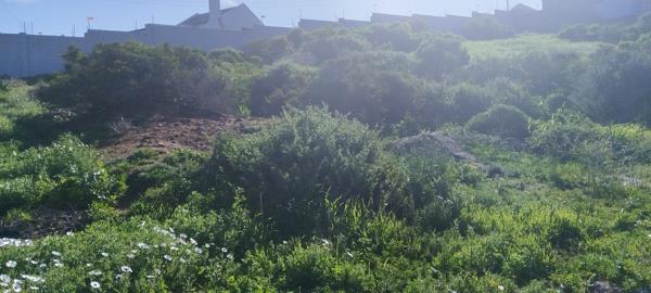 903 m² Land