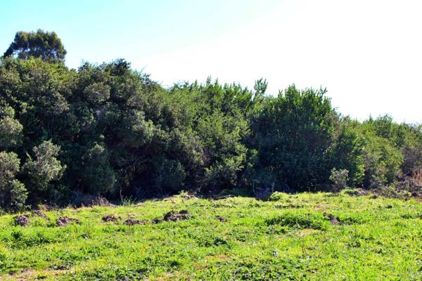 35.6 ha Farm