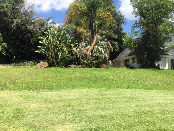 3 965 m² Land
