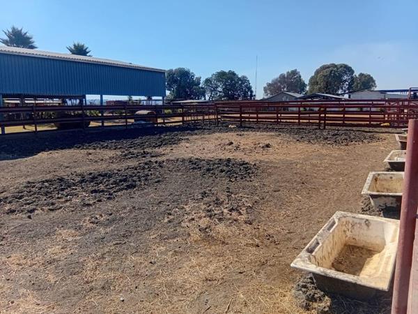 43 900 ha Smallholding