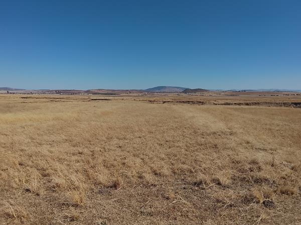 9.2 ha Land