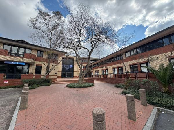 225 m² Commercial space