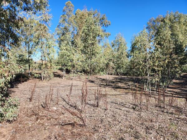 1 115 m² Land