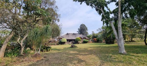 3.5 ha Smallholding
