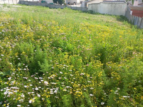 495 m² Land