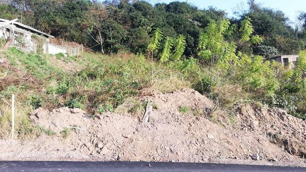 1 317 m² Land