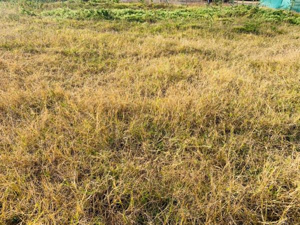 863 m² Land