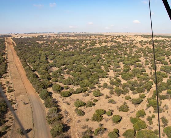 665 ha Land