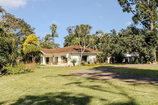 10.5 ha Commercial Farm