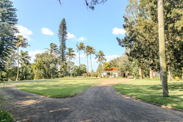 10.5 ha Commercial Farm
