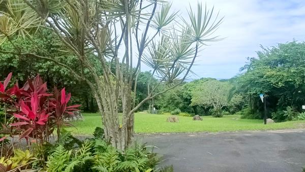 994  m² Commercial space