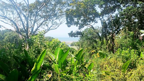 4 389 m² Land