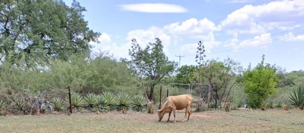 53 ha Farm
