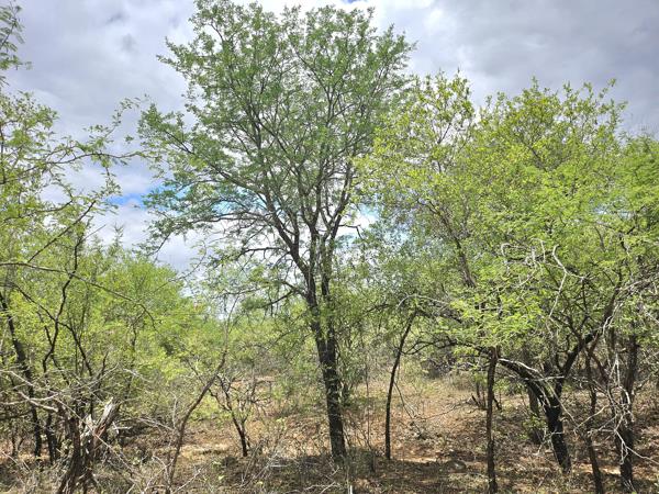 1 585 m² Land