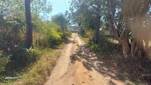 5.1 ha Smallholding