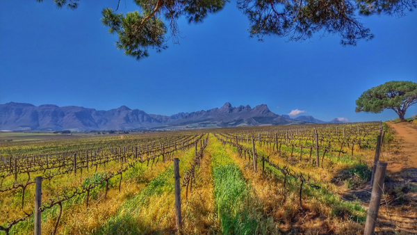 235 ha Farm