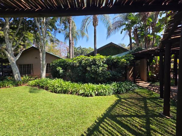 175  m² Commercial space