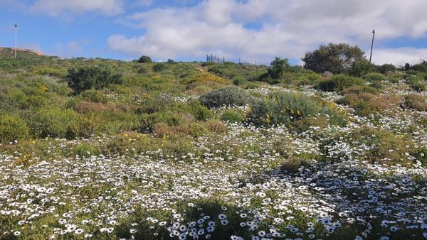300 m² Land