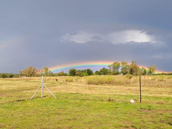 4.2 ha Agricultural Holding