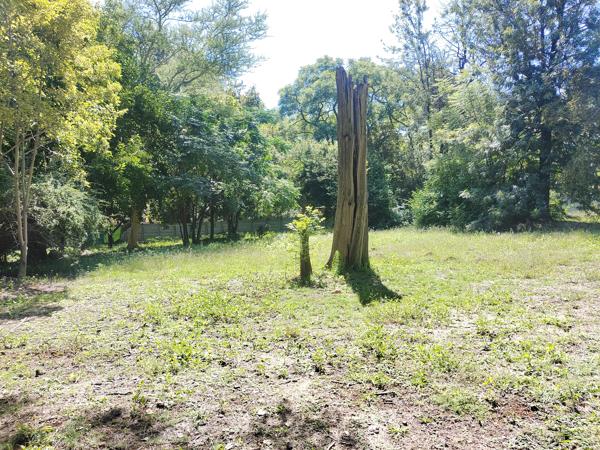 994 m² Land