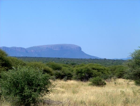 665 ha Farm