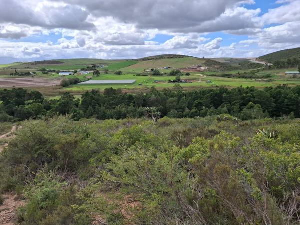 13 ha Farm