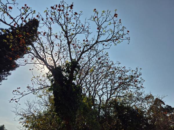 1 449 m² Land
