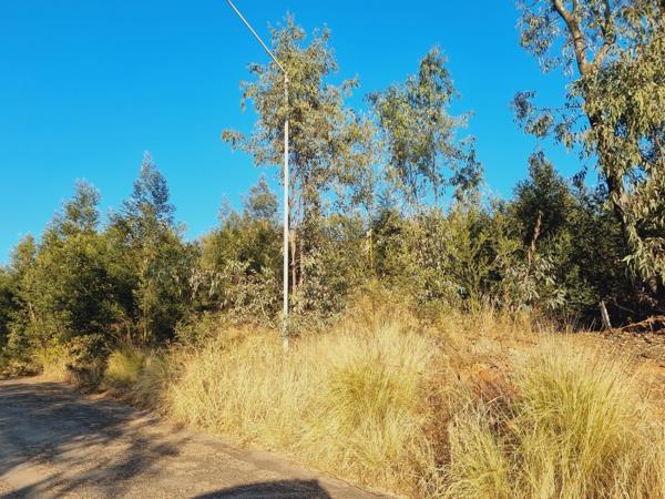 1 577 m² Land