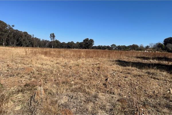 9.9 ha Land