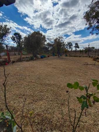 2.1 ha Commercial Farm