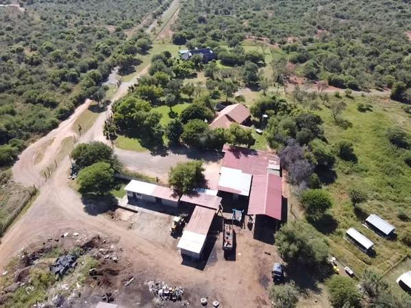 42 ha Farm with House