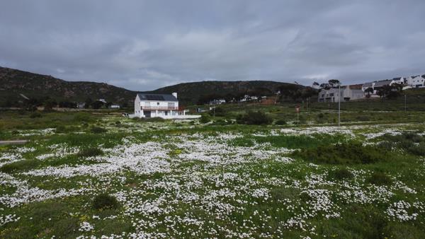 299 m² Land