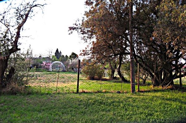 1 358 m² Land