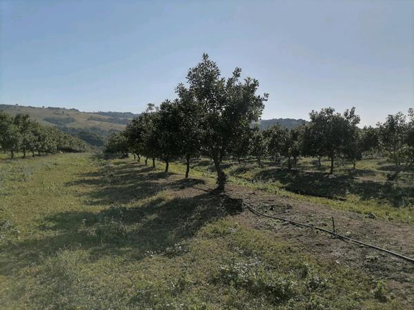 2 500  m² Commercial space