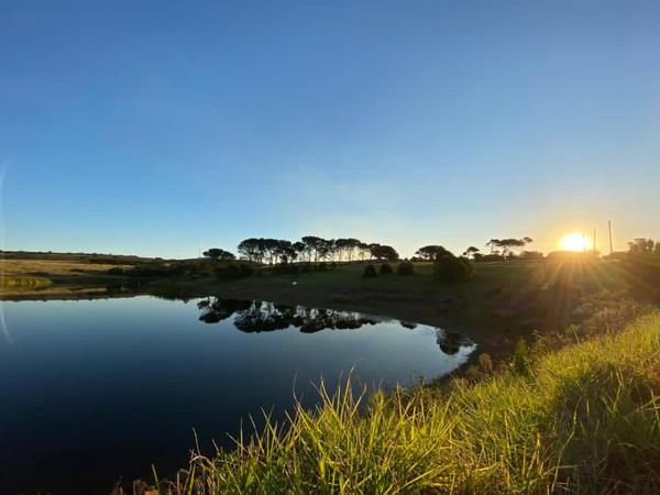 3 446 m² Land