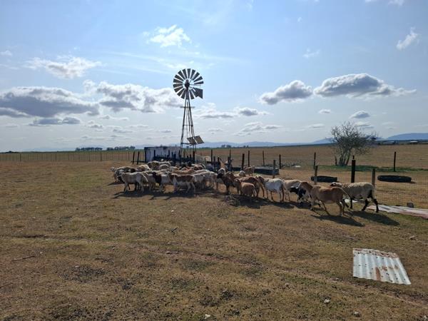 134 ha Farm