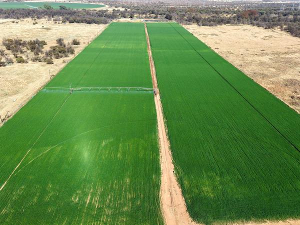 86 ha Farm