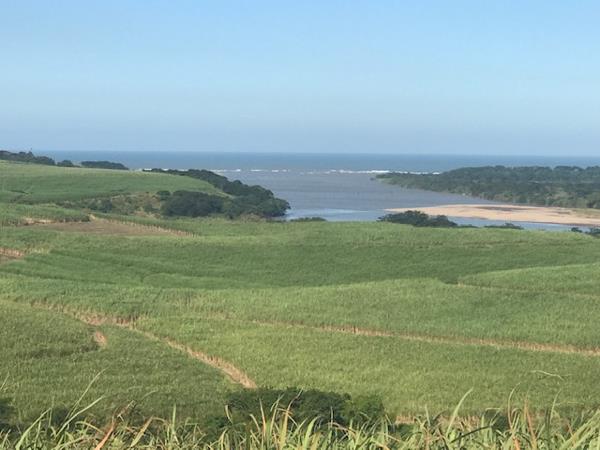 298 ha Farm with House