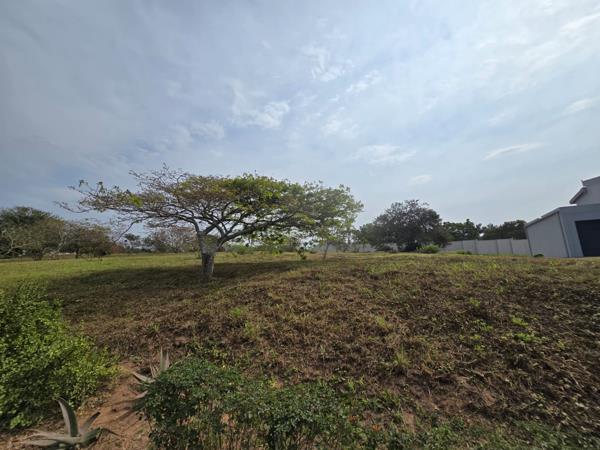 1 164 m² Land