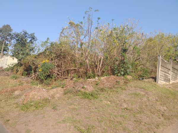 1 128 m² Land
