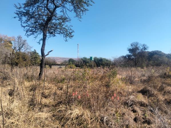 2.5 ha Smallholding