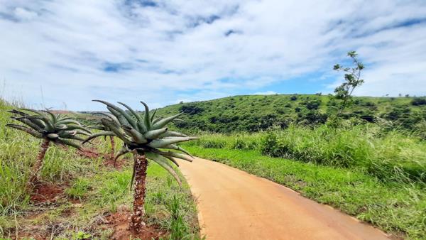 1 657 m² Land
