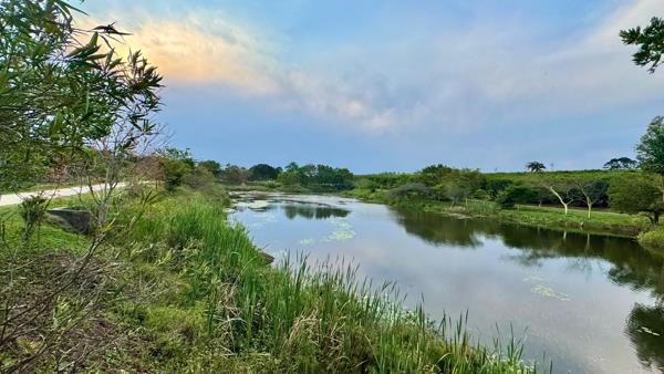 29 ha Agricultural Holding