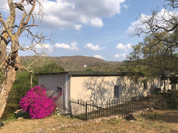 1 ha Smallholding