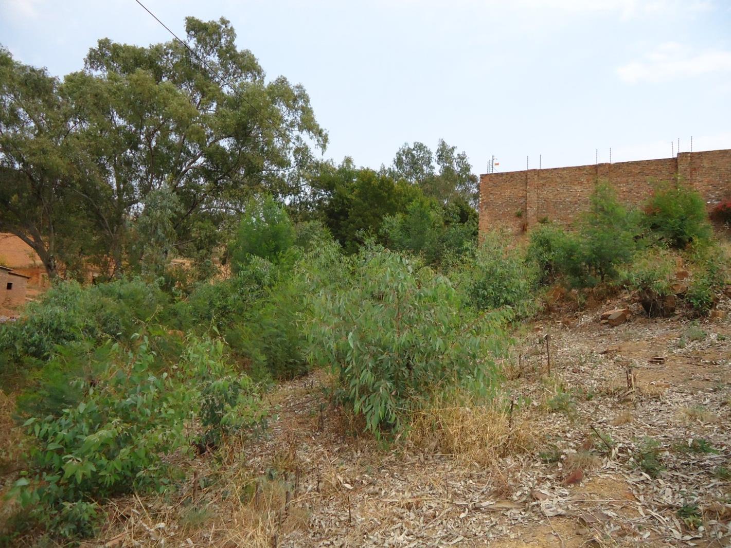 1 702 m² Land - View 4