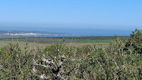 1.3 ha Land